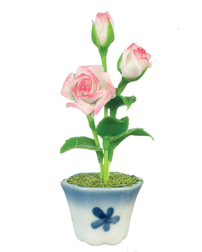 Roses in Pot, White